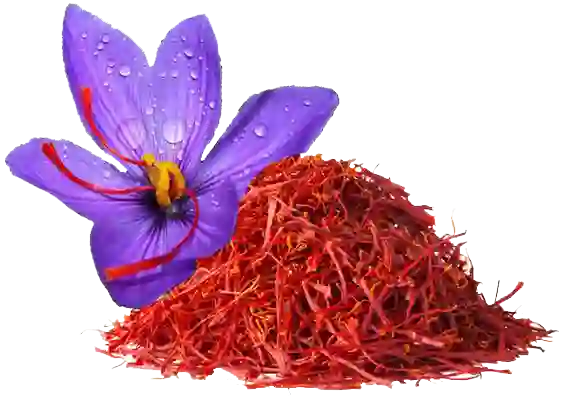 تصویر محصول سایت